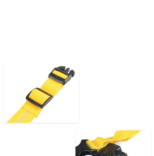 LED Pet Collar – Glow-in-the-Dark Safety Leash